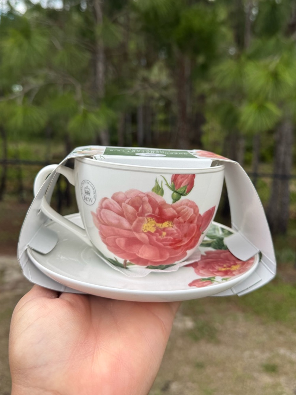 Queen Charlotte Floral Teacup & Saucer Set - Pink Peony